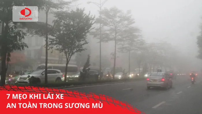 7 MẸO LÁI XE AN TOÀN TRONG SƯƠNG MÙ